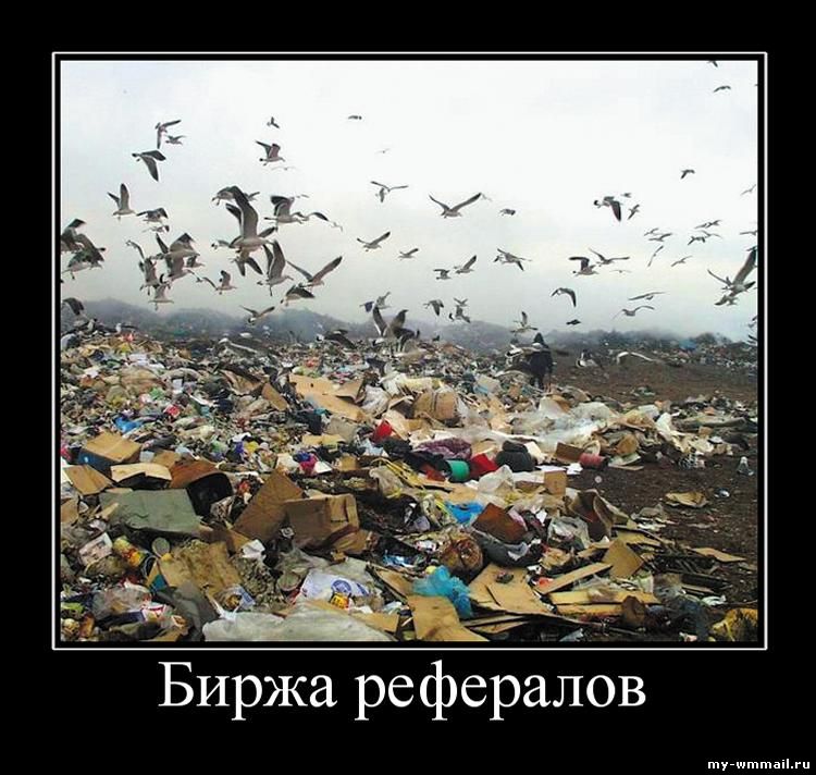 Демотиваторы на тему Wmmail
