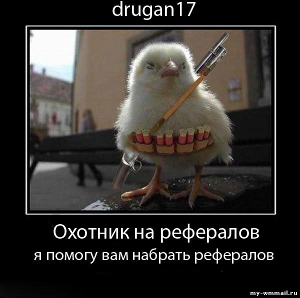 Демотиваторы на тему Wmmail