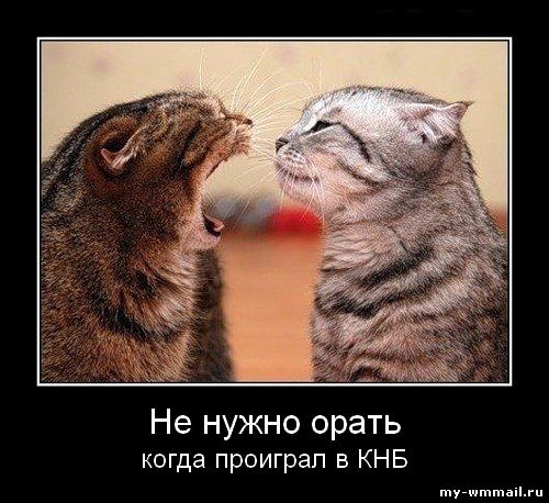 Демотиваторы на тему Wmmail