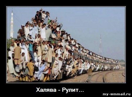 Демотиваторы на тему Wmmail