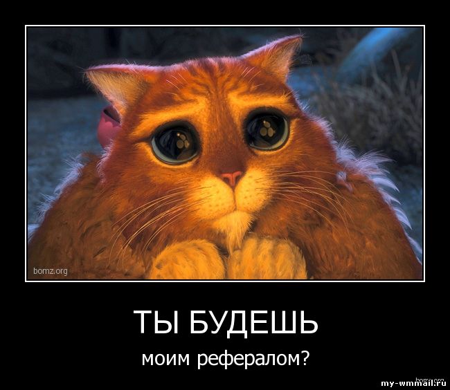 Демотиваторы на тему Wmmail