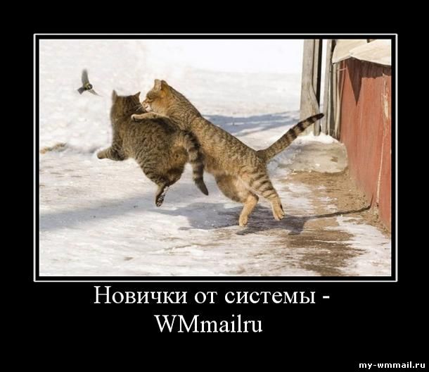 Демотиваторы на тему Wmmail