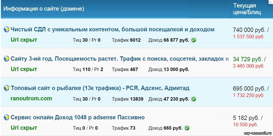 Что делать с заработанными в интернете деньгами?