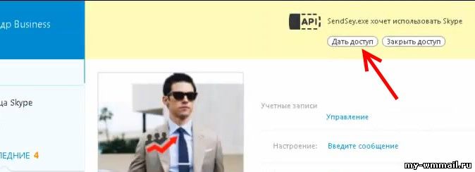 Заработок с Sendsey на скайпе