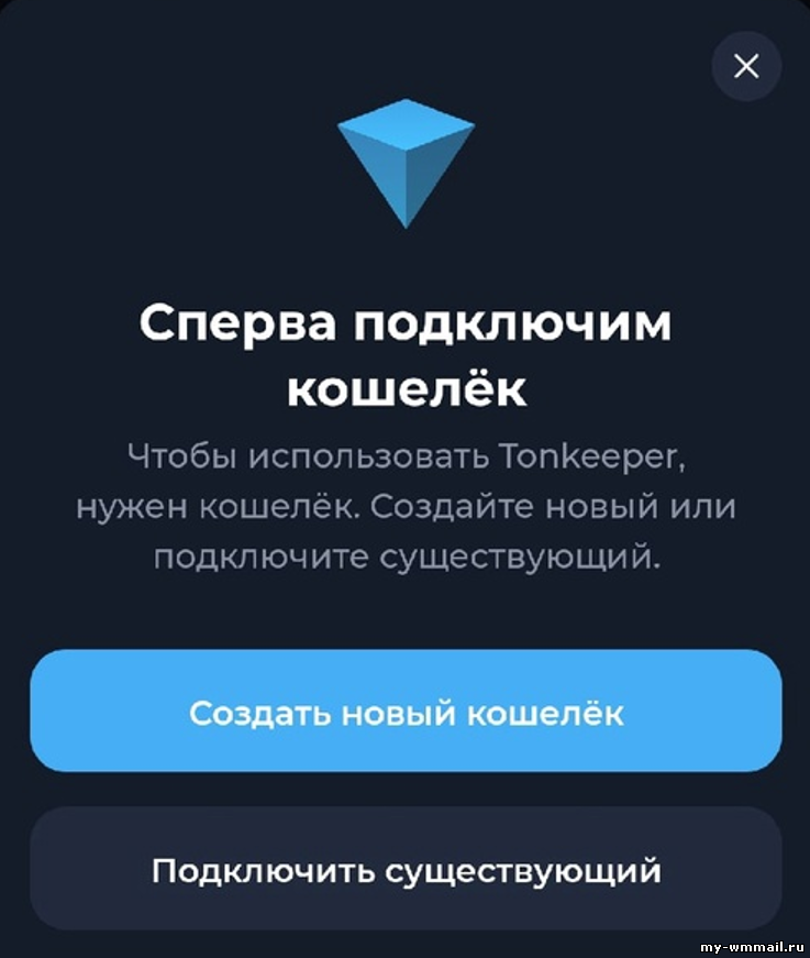 Самый выгодный способ купить (оплатить) подписку в социальной сети Ton Place