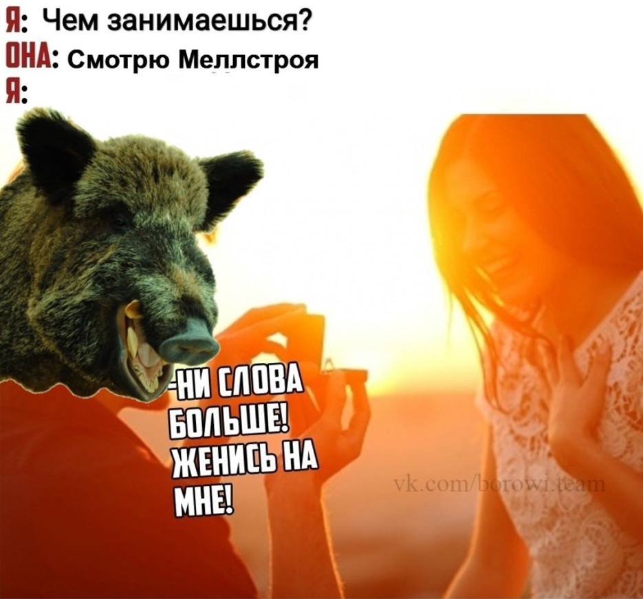 Мелстрой боровы