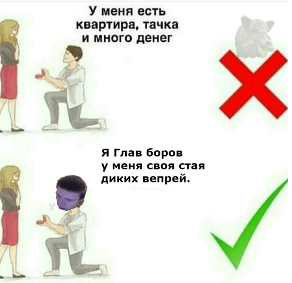 глав боров мем