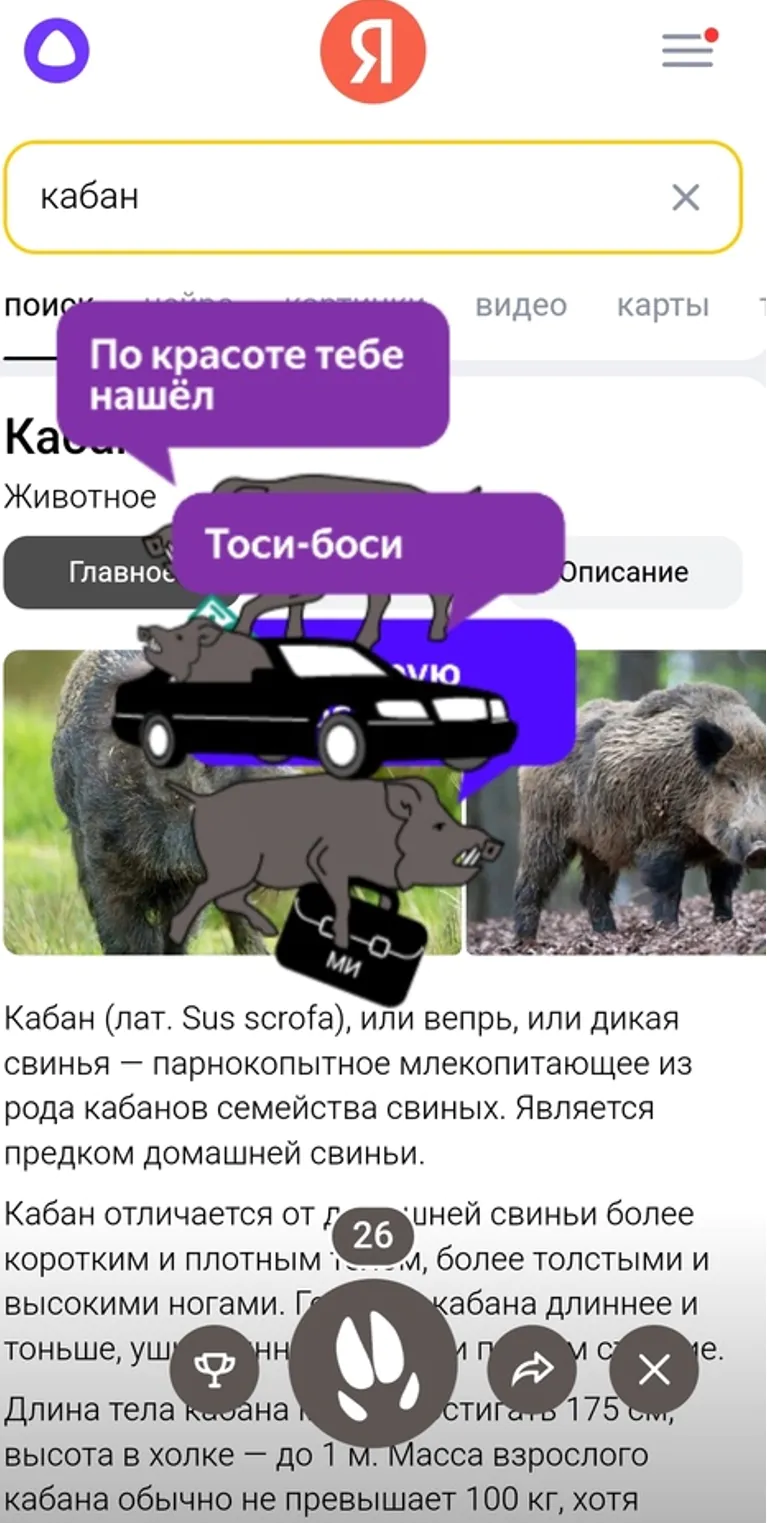 Телеграм тапалки в крипте - подборка ТОП 40
